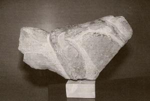 PR9.jpg